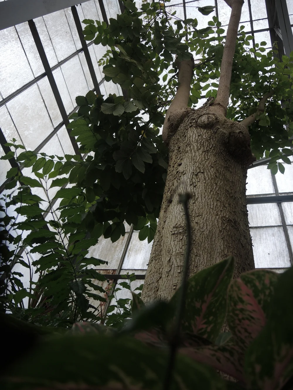 DSCN0183.JPG
