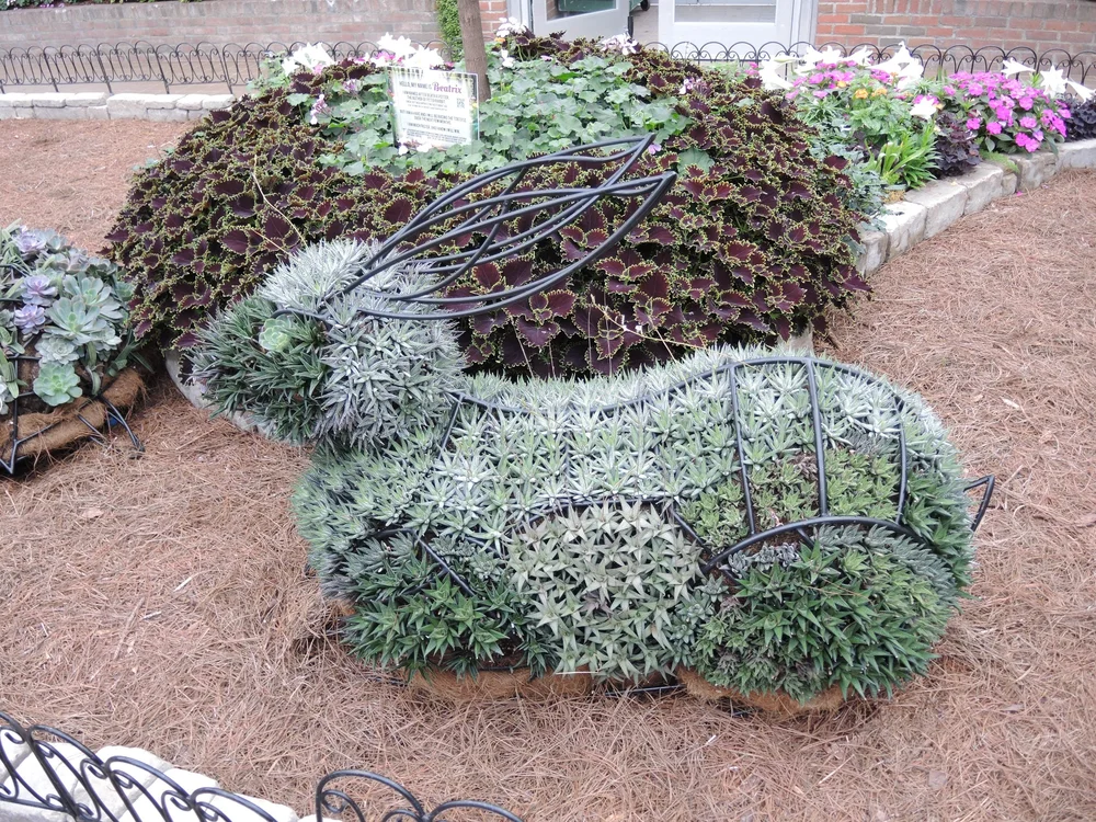 DSCN0470.JPG
