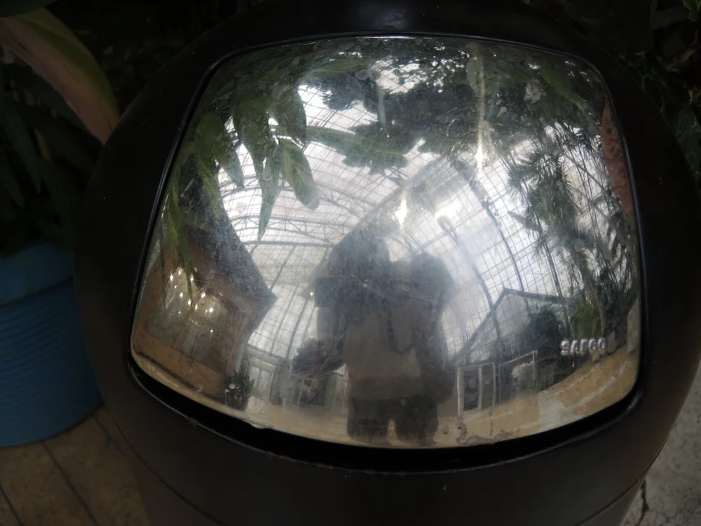 DSCN0498.JPG