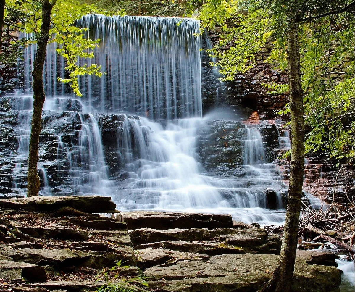 A scenic waterfall flowing over rocks with green trees surrounding it in a forest.