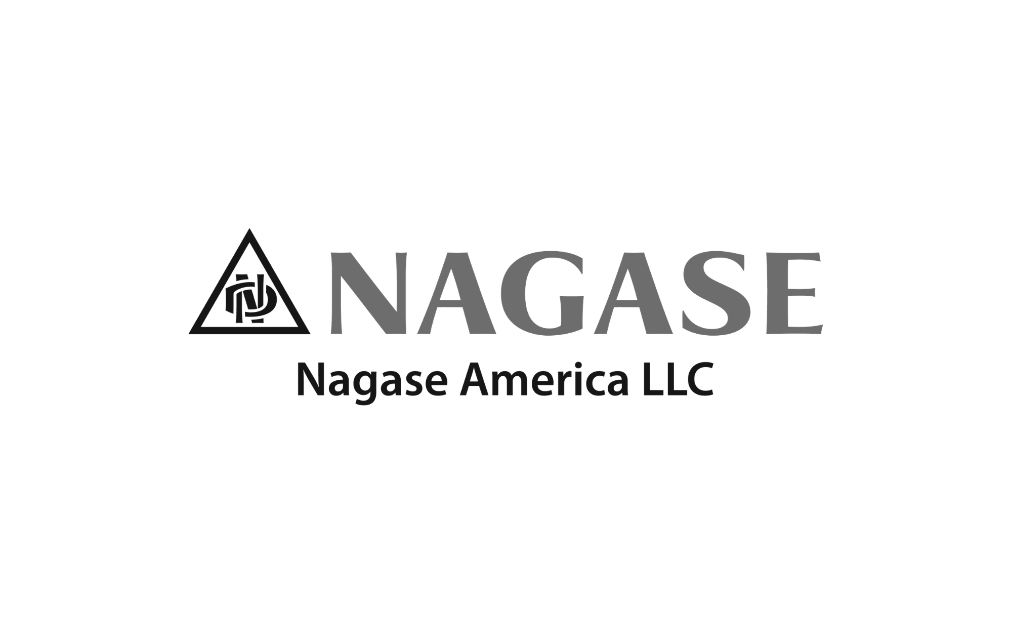 Nagase Logo.png
