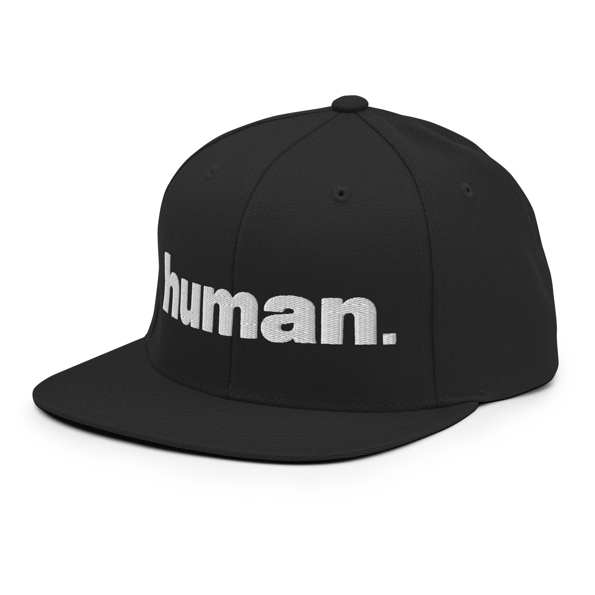classic-snapback-black-left-front-6801469e39d21.jpg