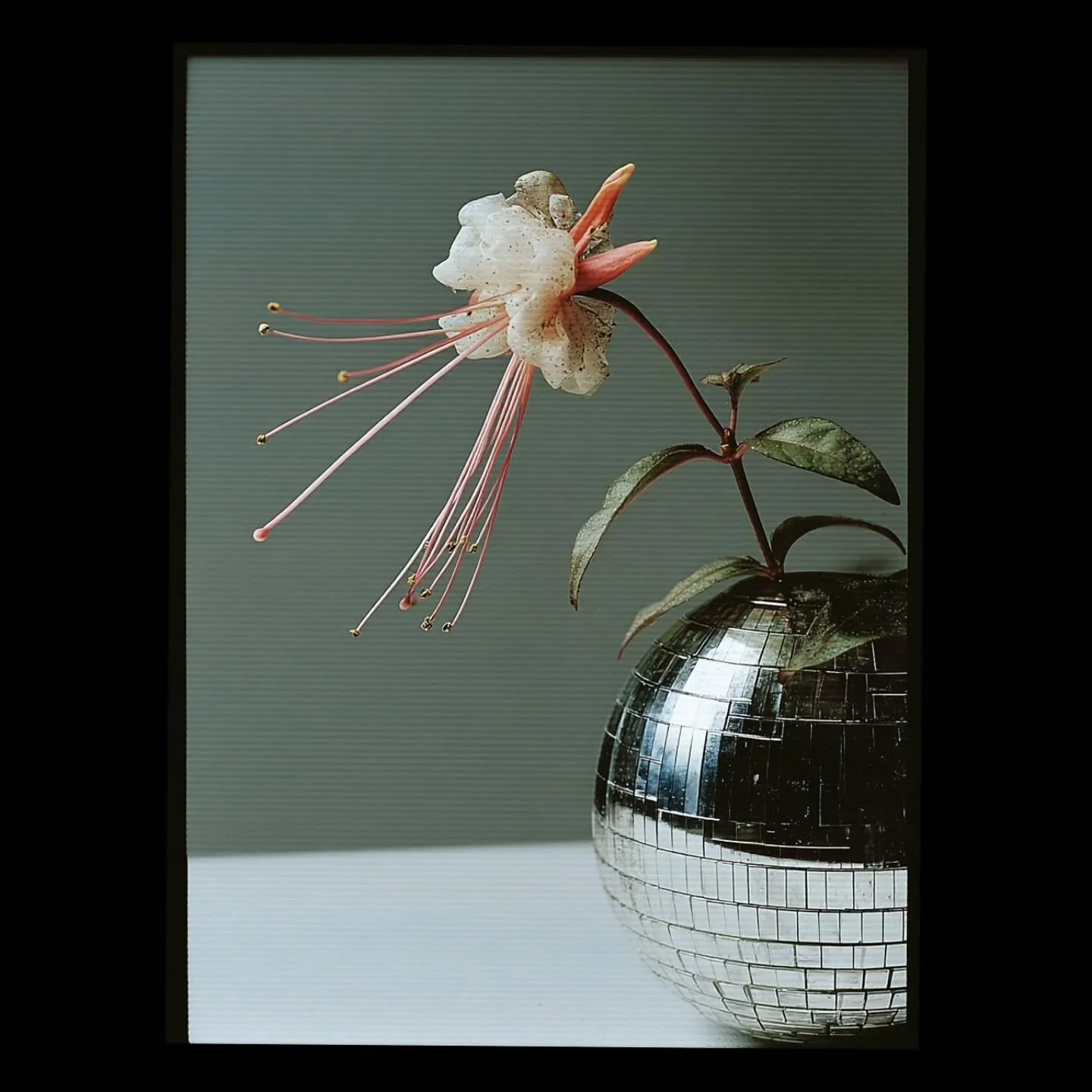 abstract fuchsia flower, retro-futuristic motion, no 01

#aigenerated #foundobject #midjourney