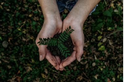 Hands holding soil with a fern plant, set against a background of foliage and earth.