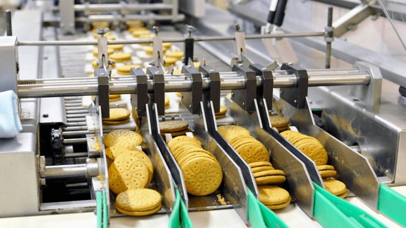 Cookies moving along a conveyor belt in a factory production line.