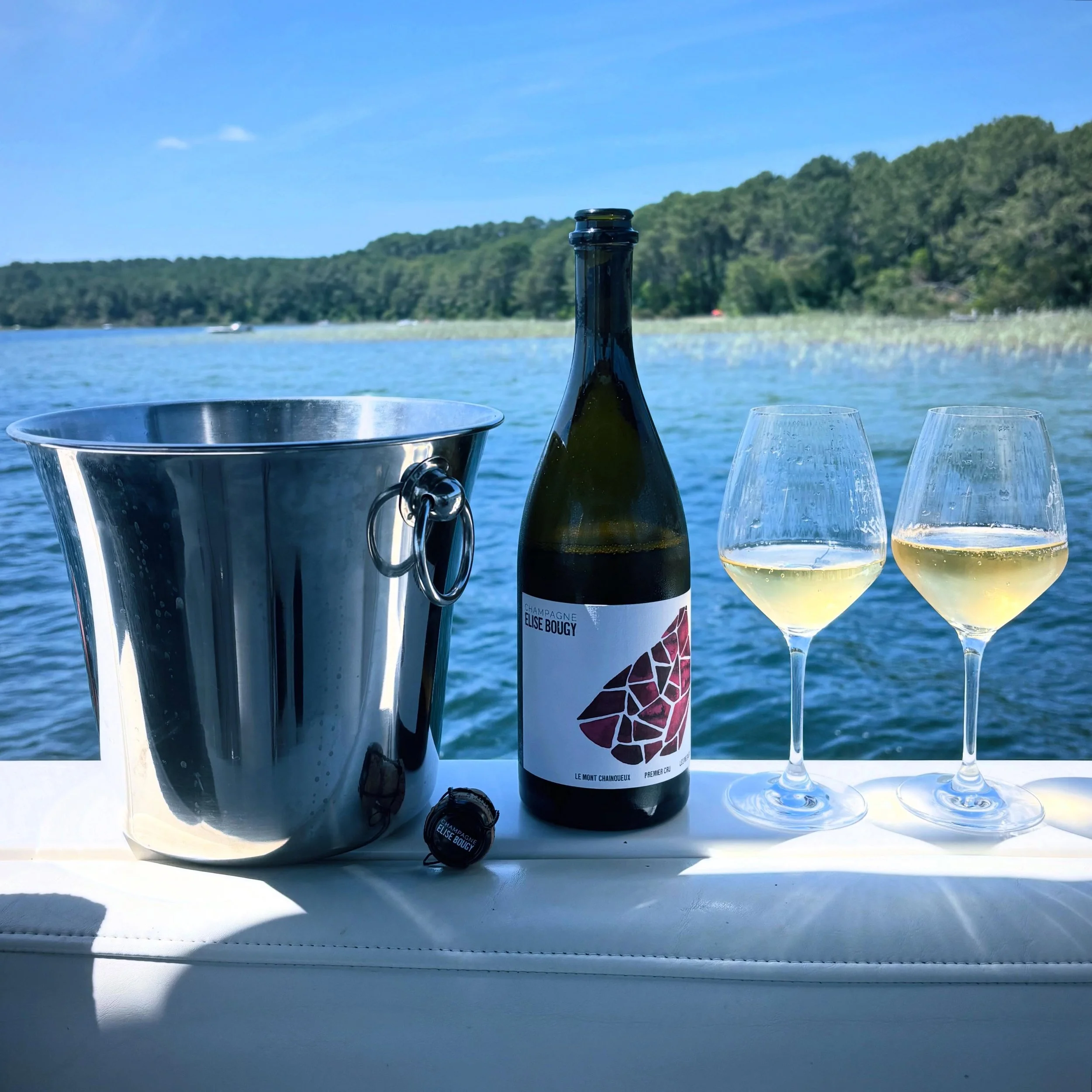 🤍 Coup de c&oelig;ur pour @elisebougy et sa cuv&eacute;e Le Mont-Chainqueux, Premier Cru - Les Mesneux, Blanc de Noirs 🍾 🥂 

Parmi les vignerons qui redessinent aujourd&rsquo;hui le paysage champenois, &Eacute;lise Bougy fait clairement partie de 