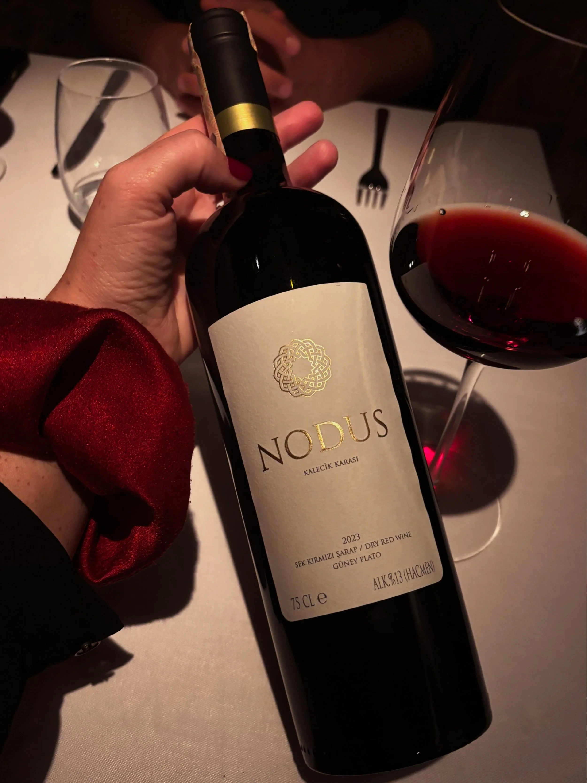 🇹🇷🍷 Discovering Turkish wine at its best. A beautiful food pairing experience at @ahestepera , Istanbul, featuring NODUS Kalecik Karası 2023 &mdash; a red wine made from one of T&uuml;rkiye&rsquo;s distinctive indigenous grape varieties.

A wonder
