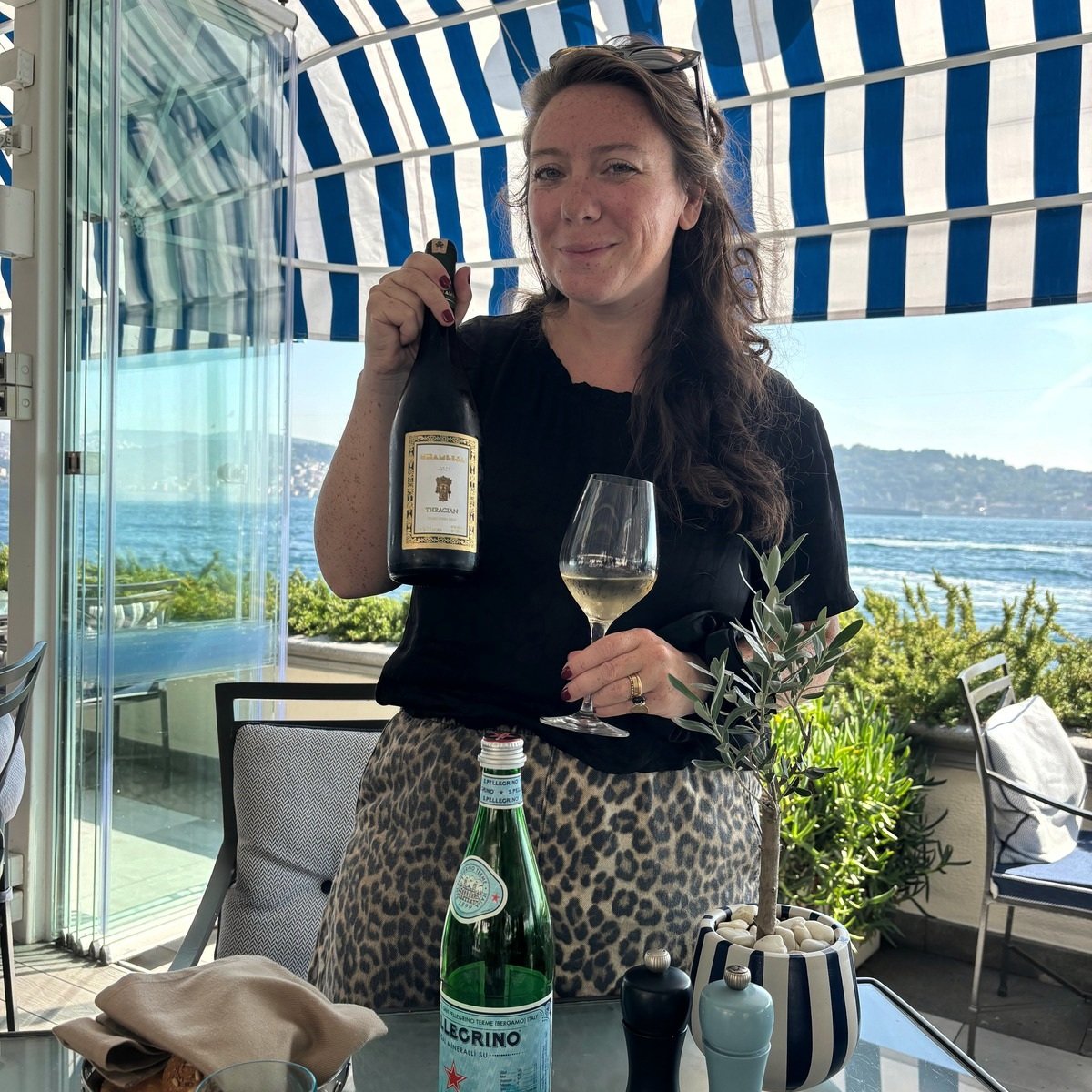 🇹🇷 A different perspective on Istanbul. As part of a study trip to T&uuml;rkiye with my fellow French Foreign Trade Advisors @les_cce from Nouvelle-Aquitaine, my husband and I took a little time away from the official programme to discover another 