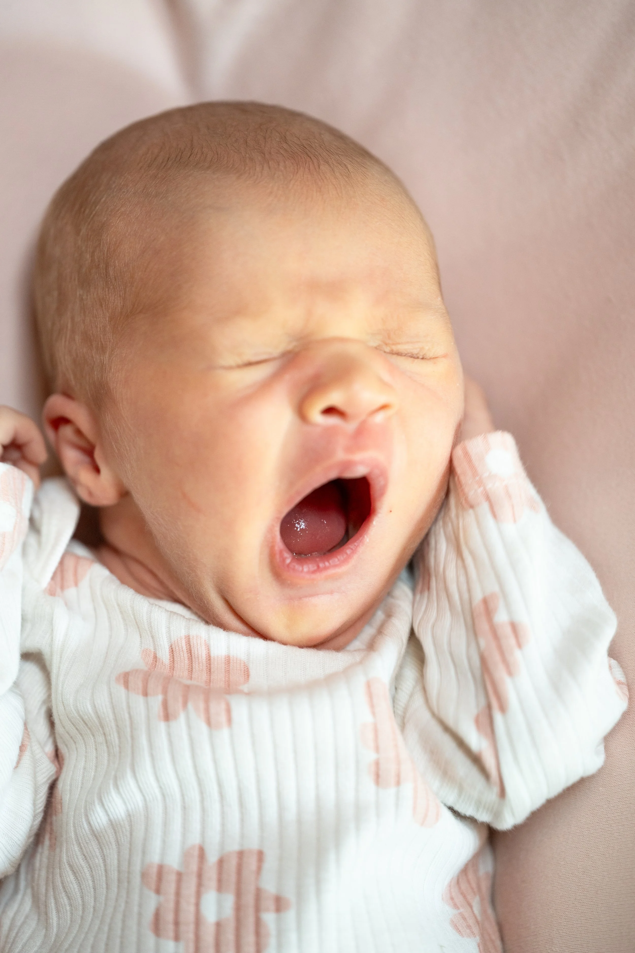 Mabel Faust Newborn 7.14.25-14.jpg