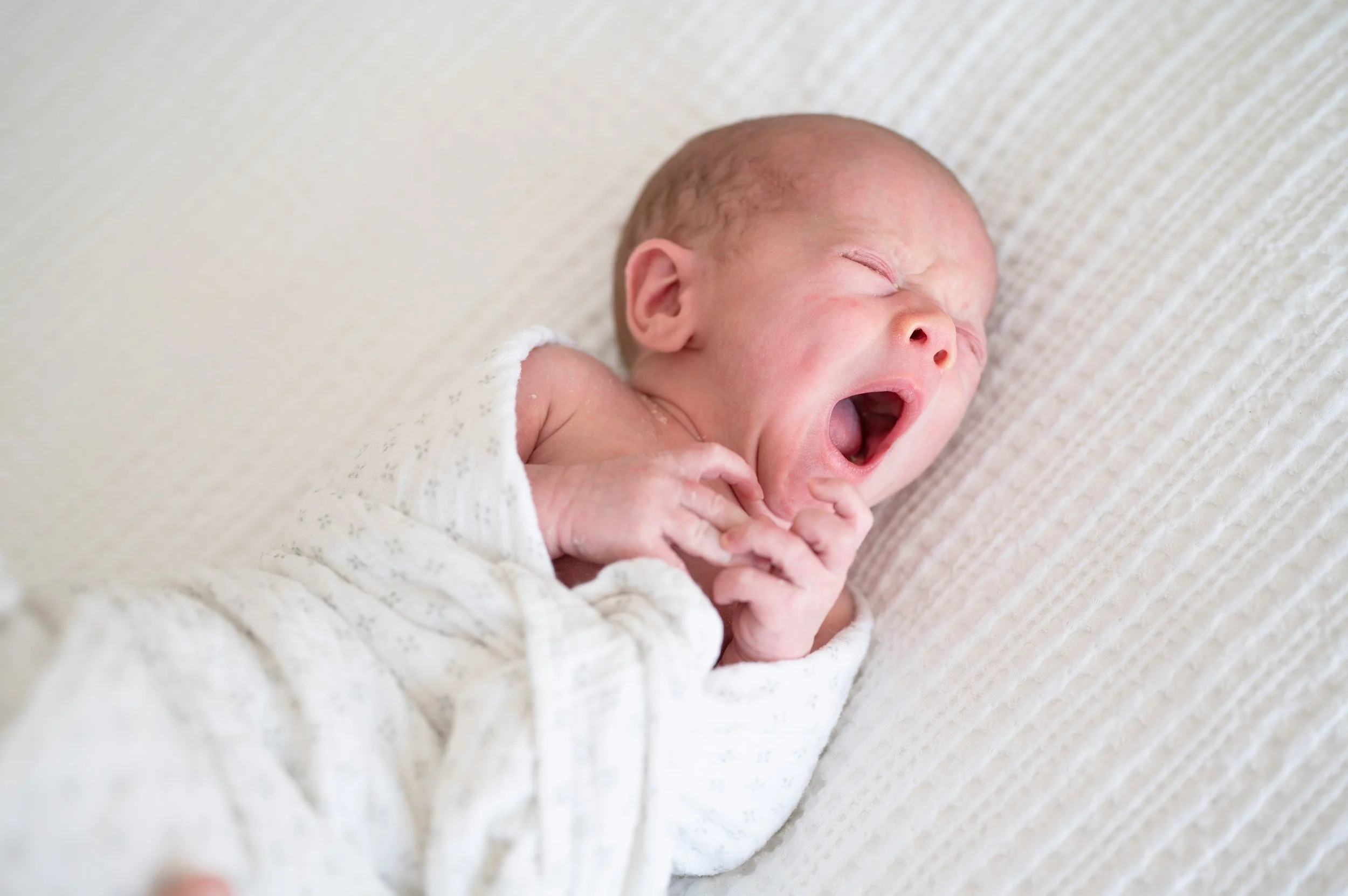 Frederickson Newborn 3.29.24-267.jpg
