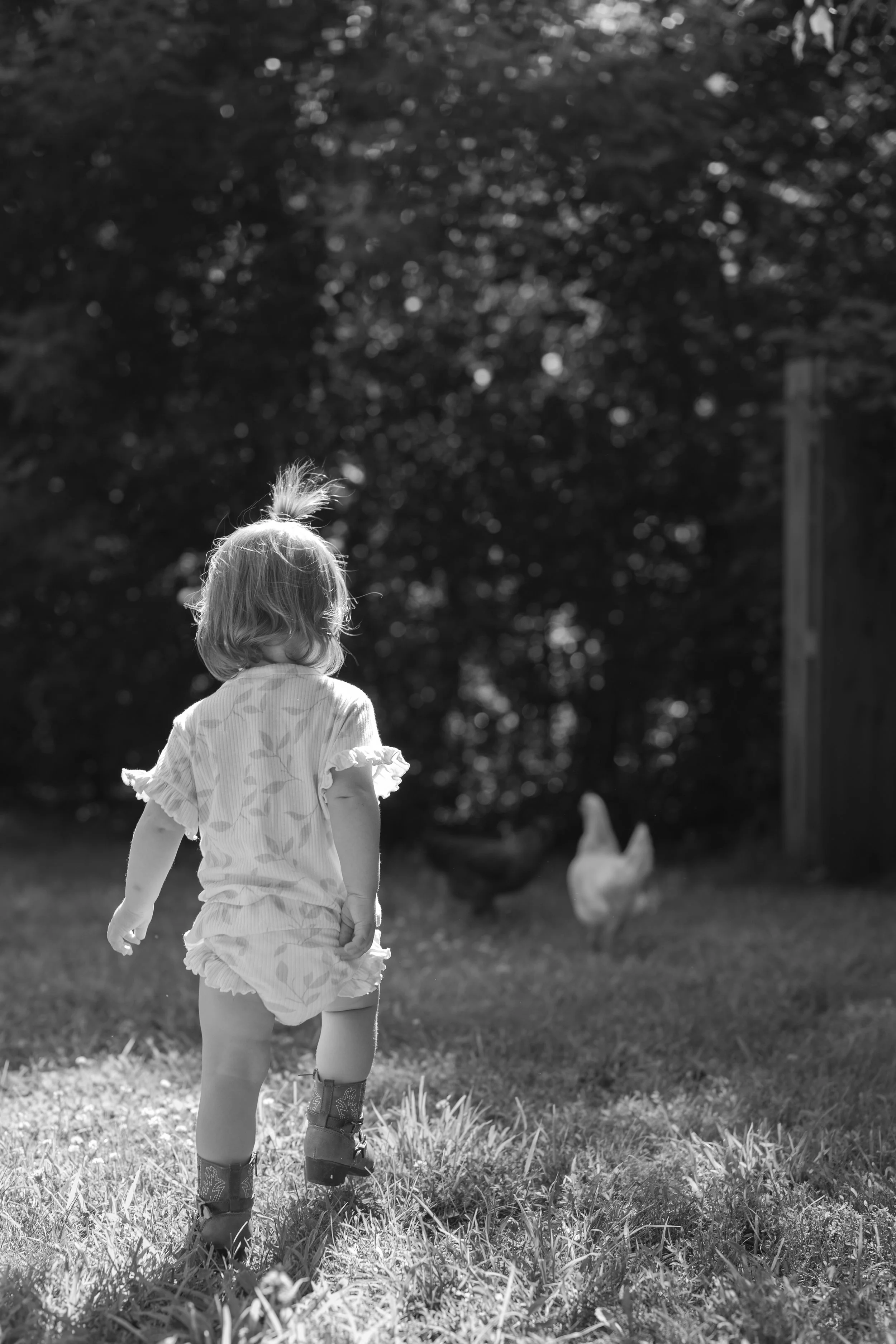 Mabel Faust Newborn 7.14.25-75.jpg