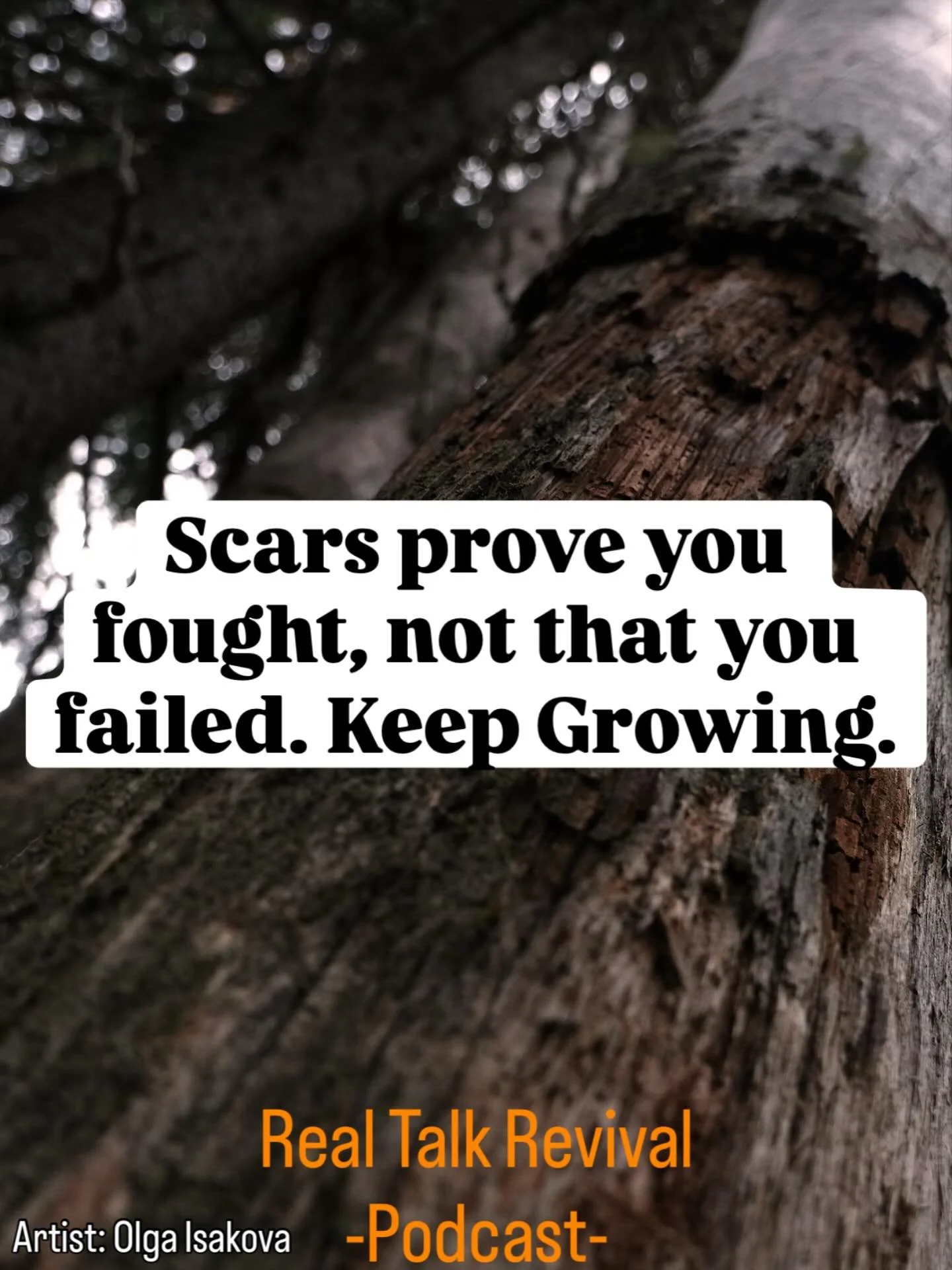 #keepgrowing #positivity #uplifting #motivational #motivation #quotesaboutlifequotesandsayings #quotes #love #peaceofmind❤️ #peaceful #trees #scars #wounds