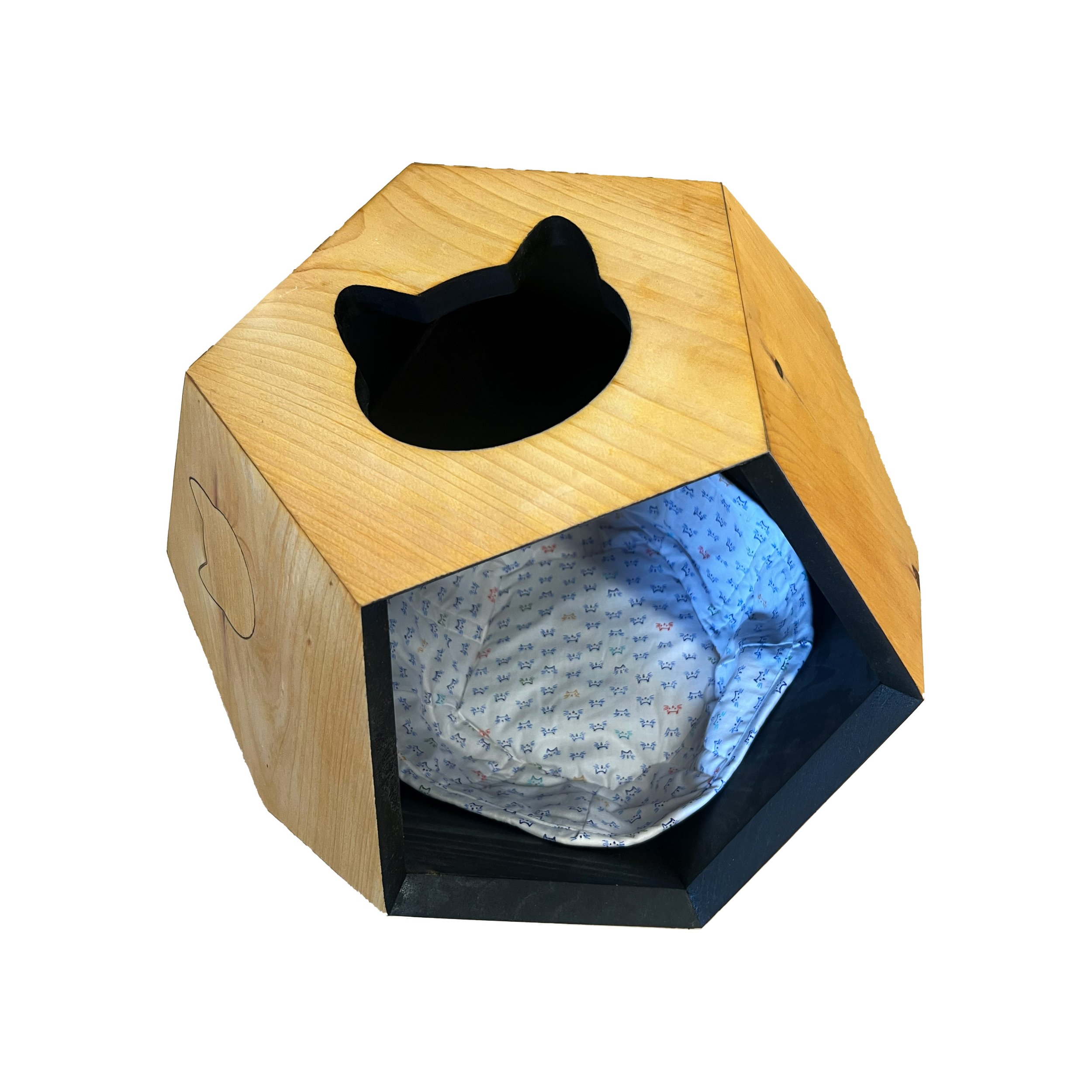 CatCaveWCutoutTop.jpg