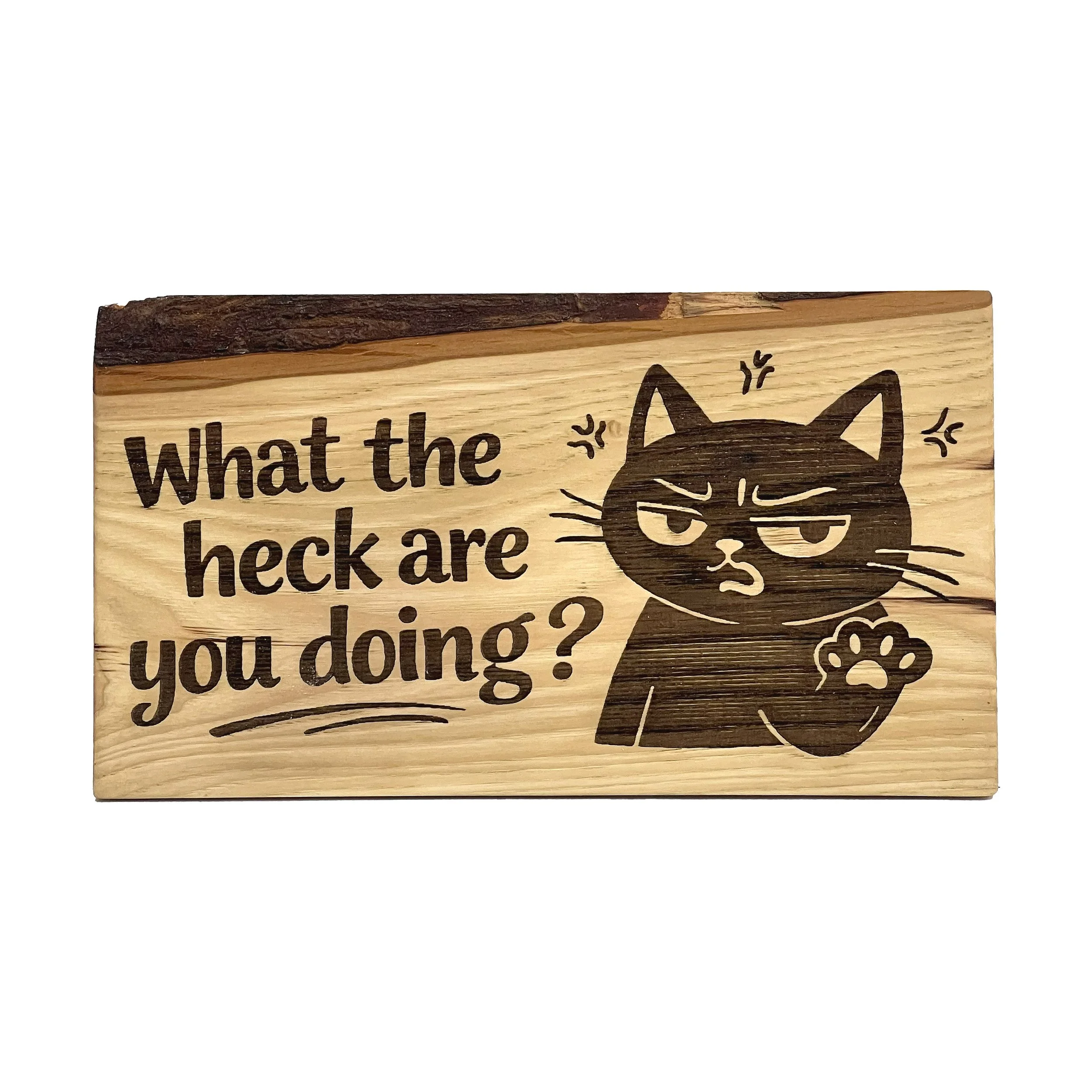 What the Heck Are You Doing Cat Sign