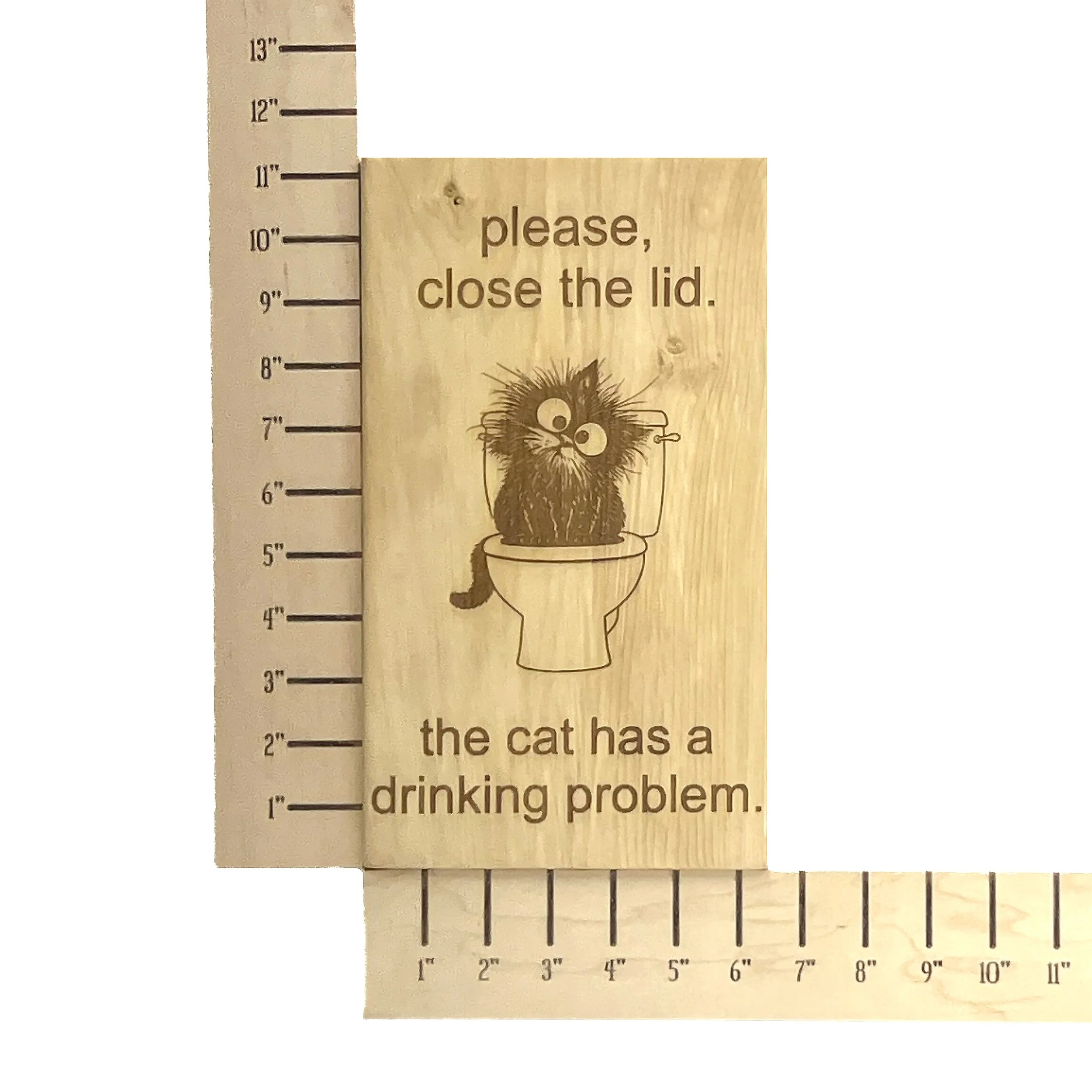 CatSignMeasure1.jpg