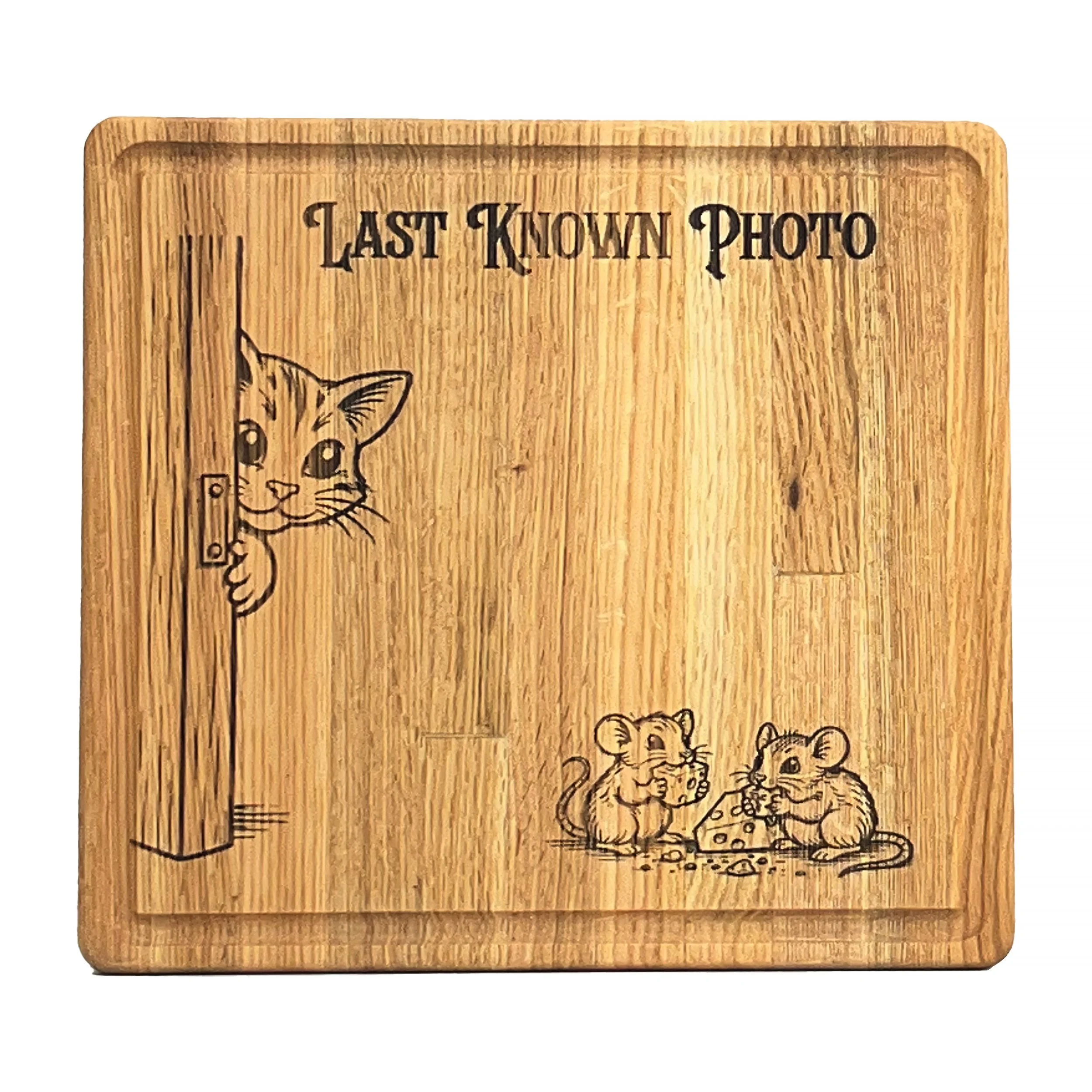 Last Known Photo Cat Board