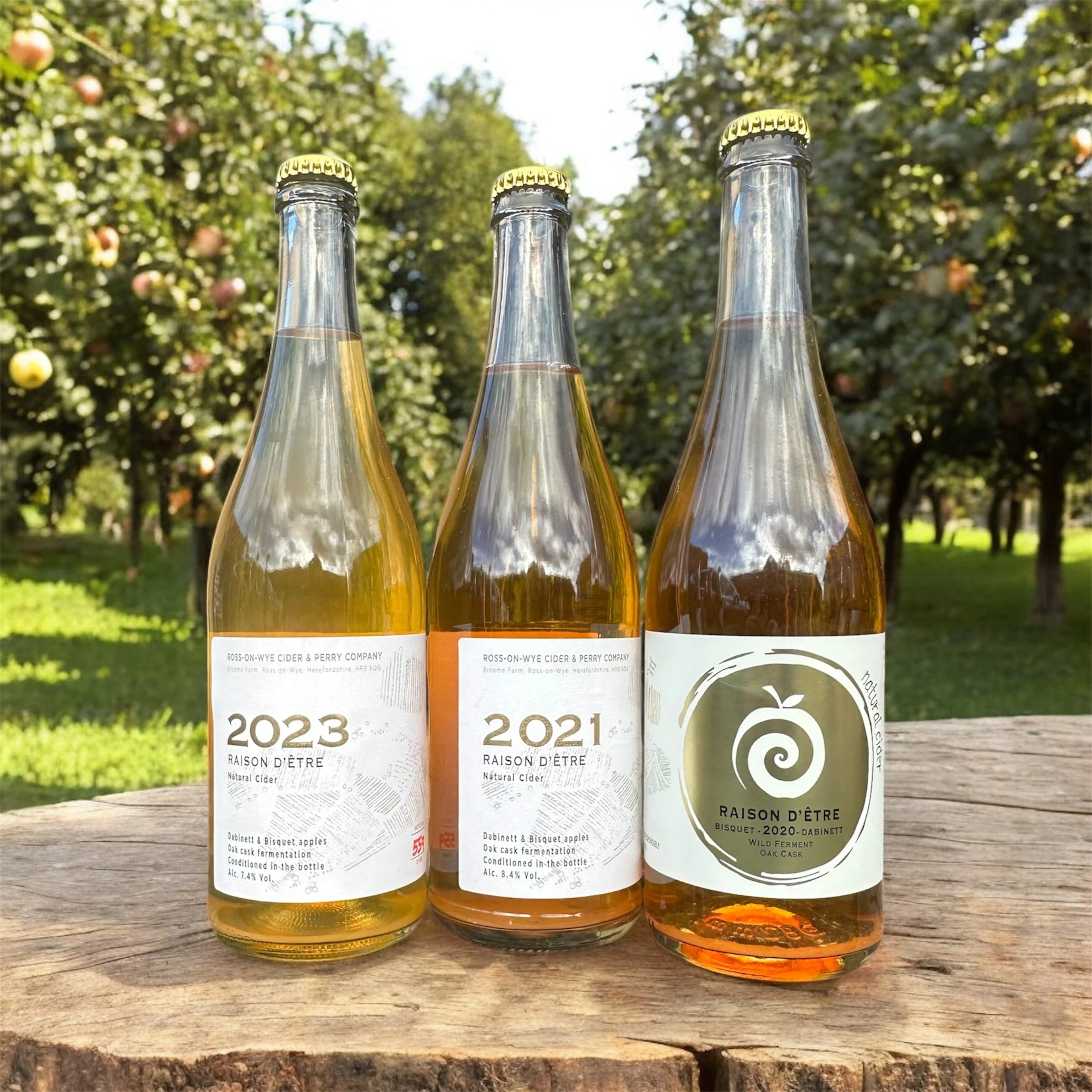 Ross-on-Wye Raison d'Être Cider (2020, 2021, 2023 Vintages)