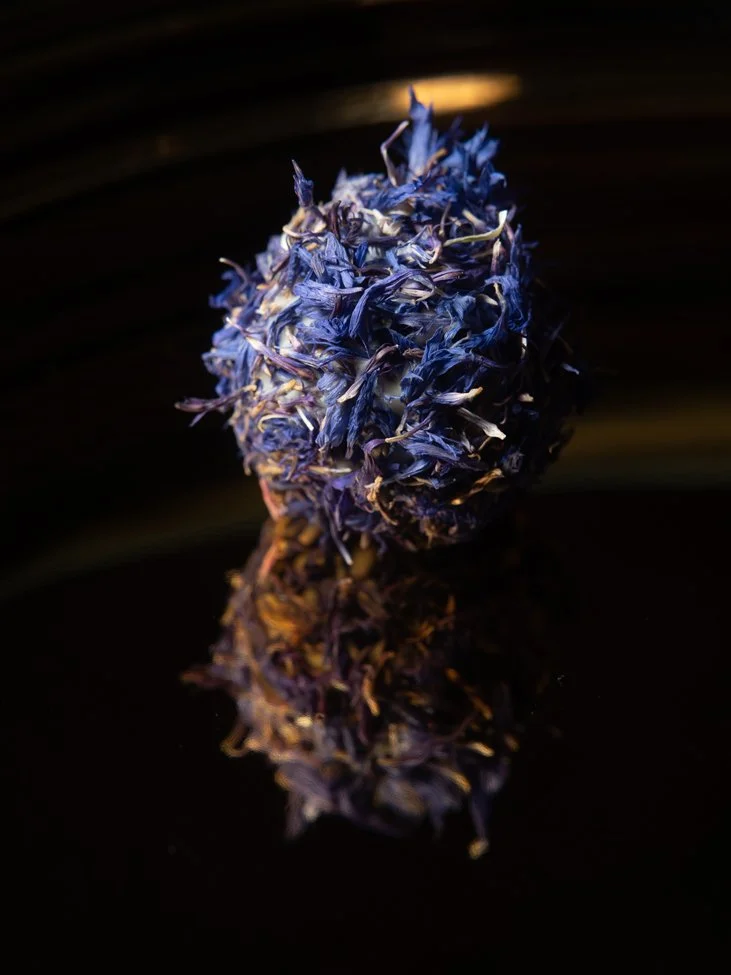 DSCF9051.jpg