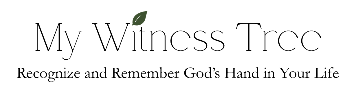 My Witness Tree