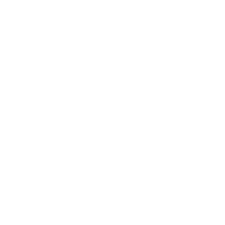 Horizon Partners LLC