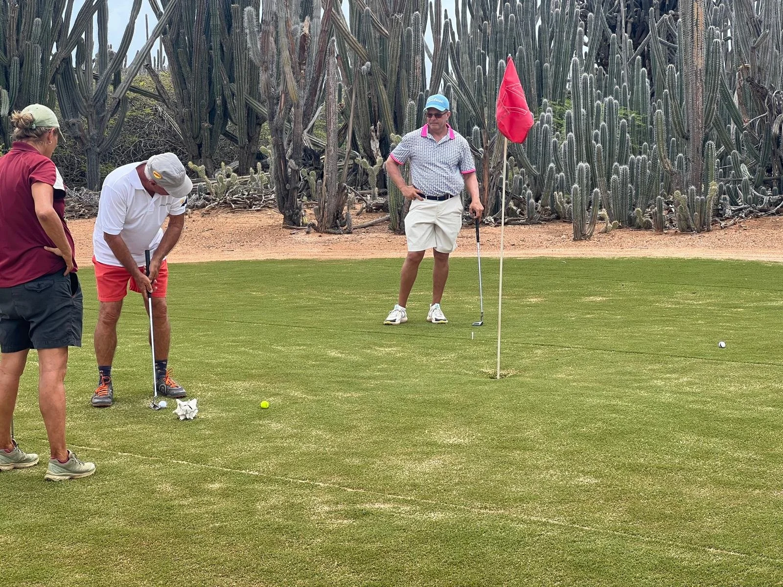 WhatsApp Image 2026-01-12 at 06.08.59.jpeg