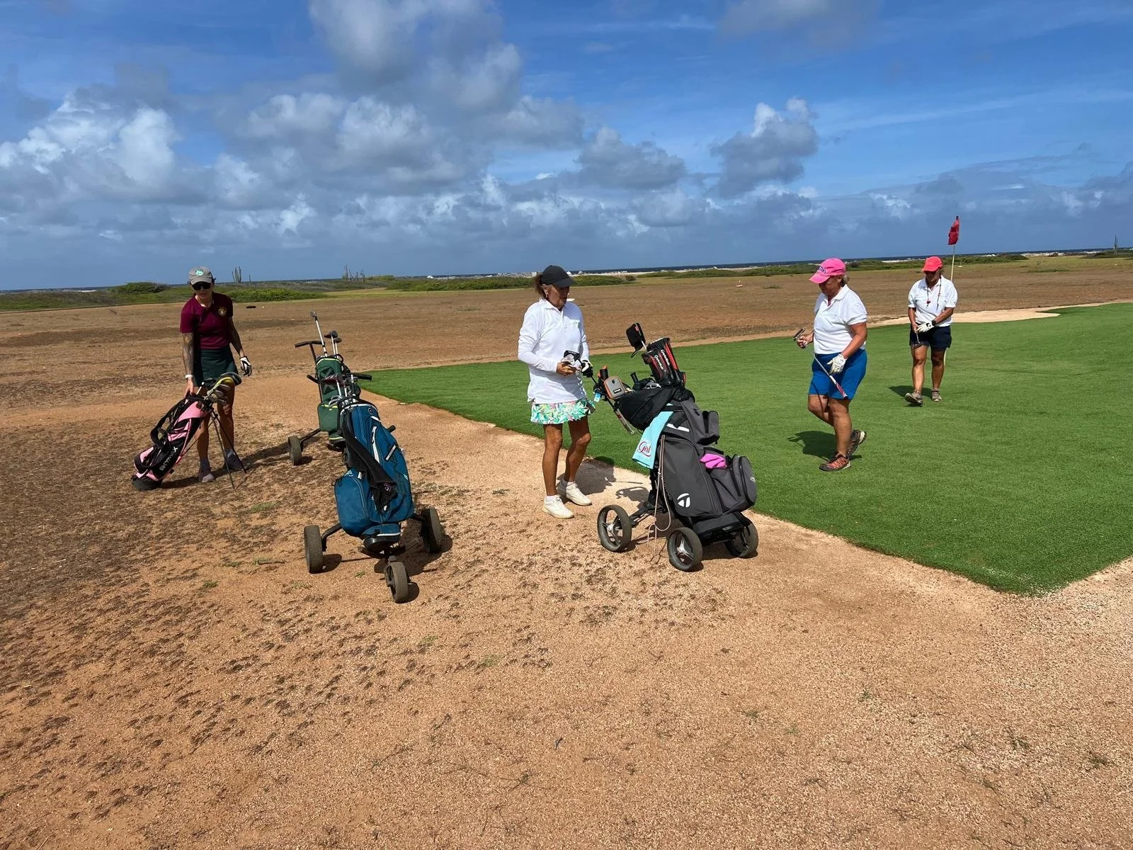 WhatsApp Image 2026-01-12 at 06.11.53.jpeg