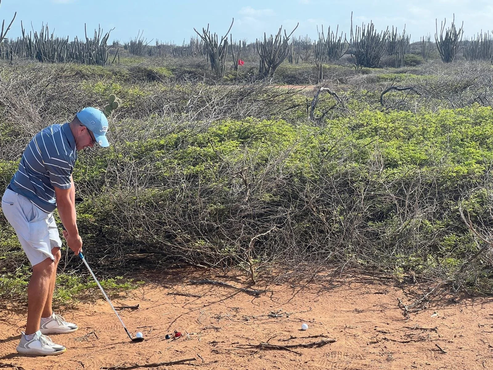 WhatsApp Image 2026-01-12 at 06.11.54 (2).jpeg