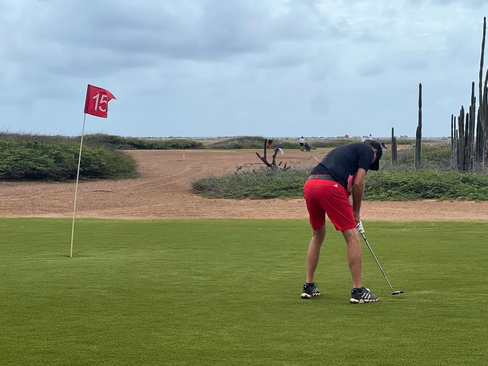 WhatsApp Image 2026-01-12 at 06.08.57 (16).jpeg