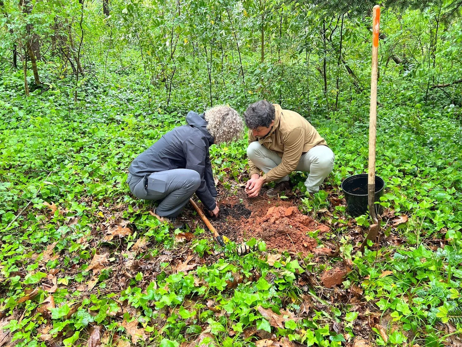 How to Plant a Tree — We Plant it Forward