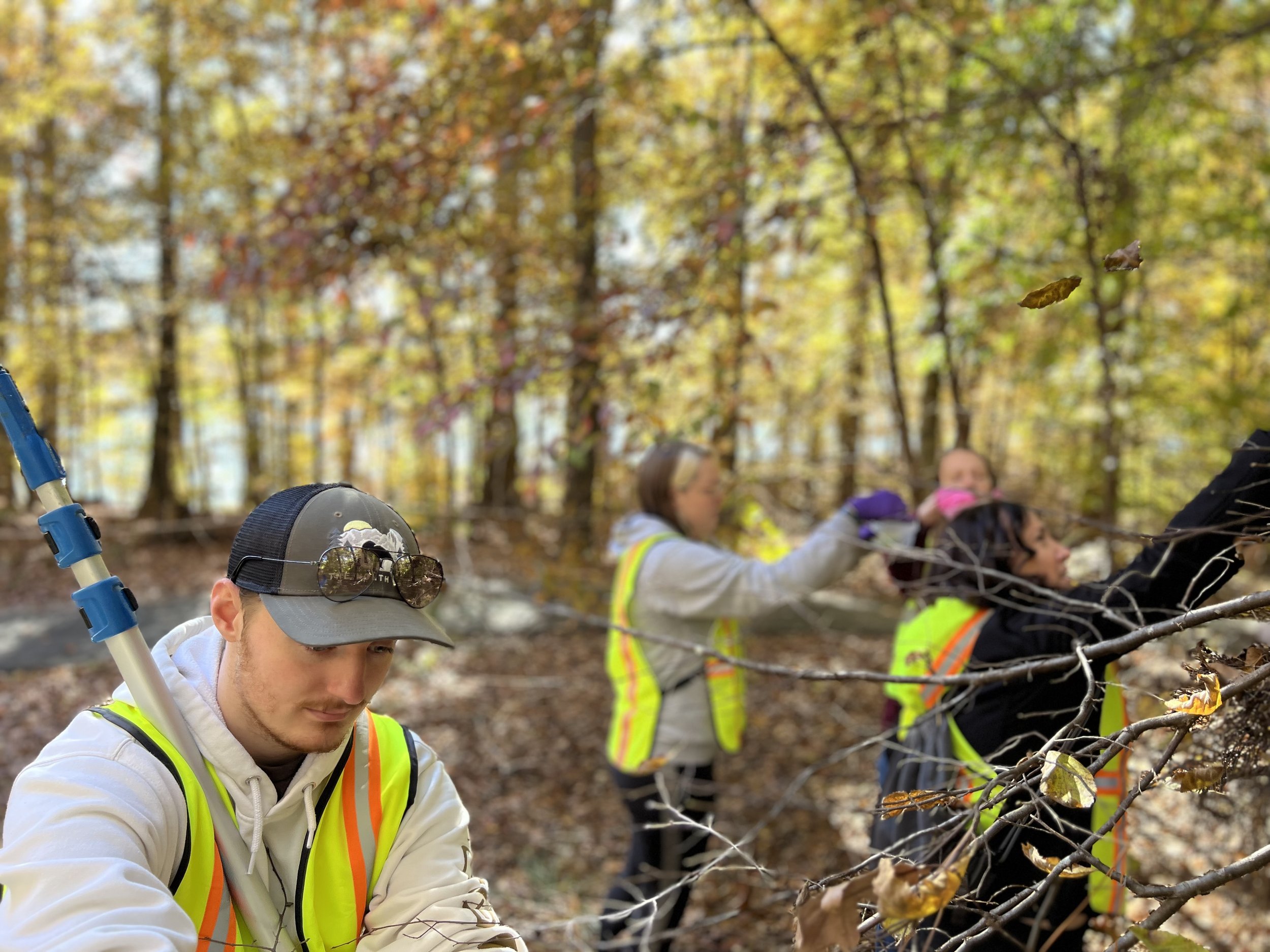 Group Volunteer Seed Collection