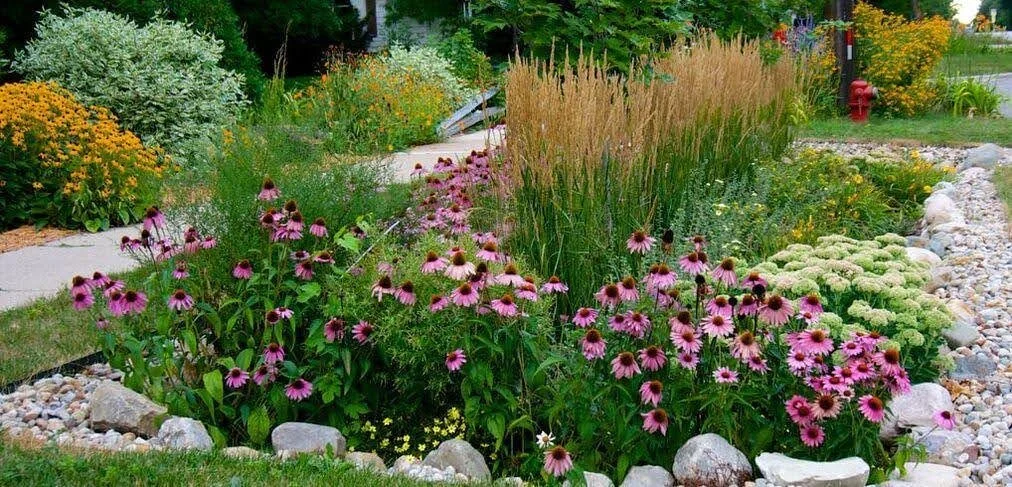 Is a Rain Garden an Option For You?