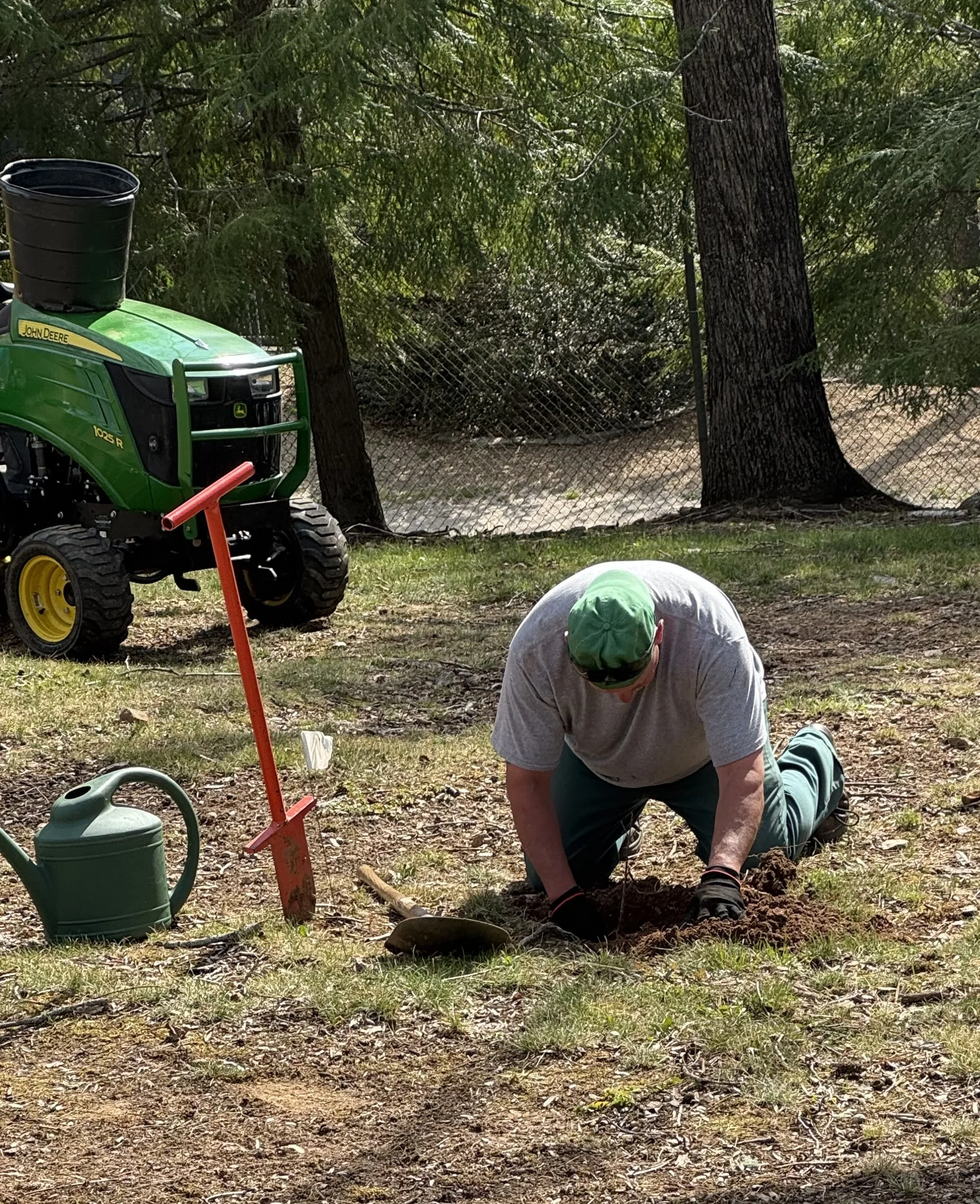 Tree Planting - Governors Western Residence