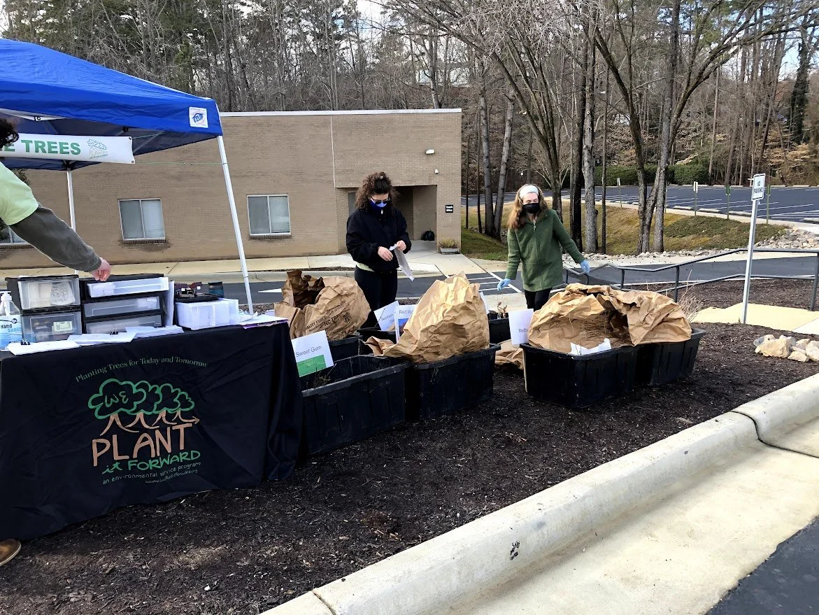 Volunteers set up tree planting supplies