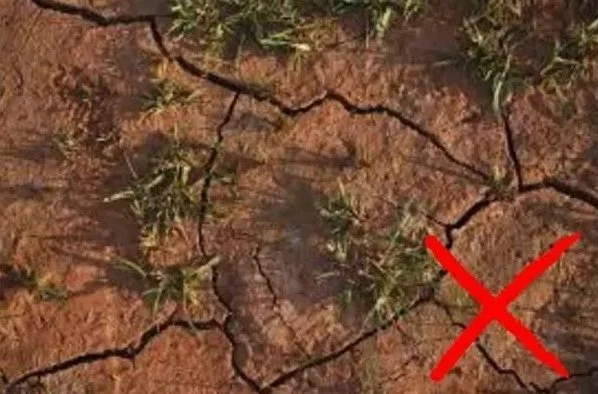 Image of dry, cracked soil with a red "X" marked over it.