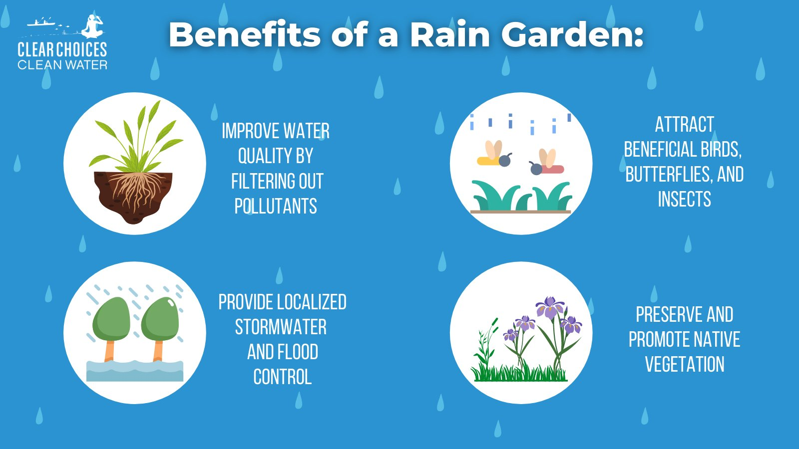 An illustrated diagram picturing the benefits of a rain garden, including water quality, pollinators, flood control, and native vegetation.