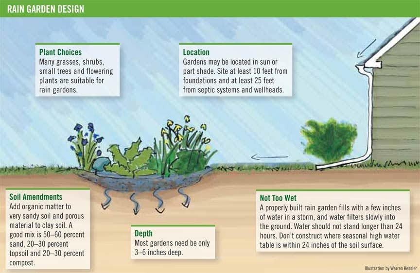 An illustrated diagram for planning a rain garden design.
