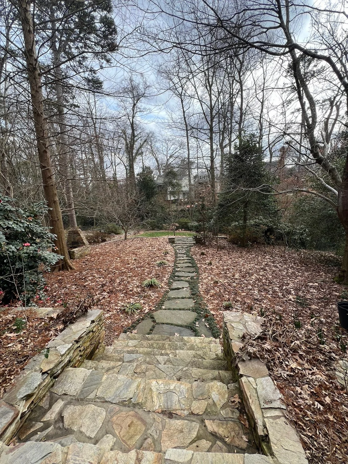 A landscaped front yard covered in fallen leaves.