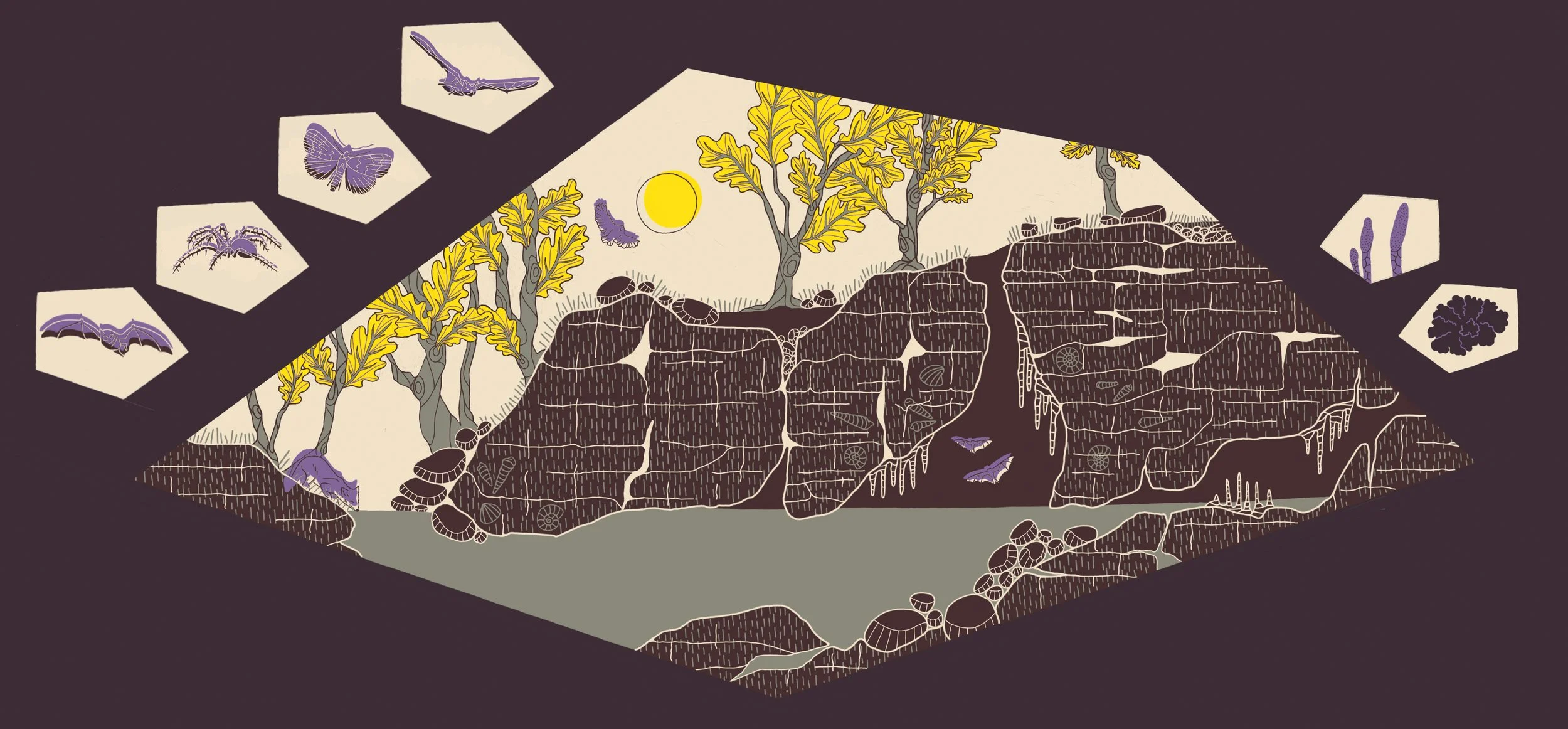 2504_BAU_Aven coupe PANNEAU.jpg