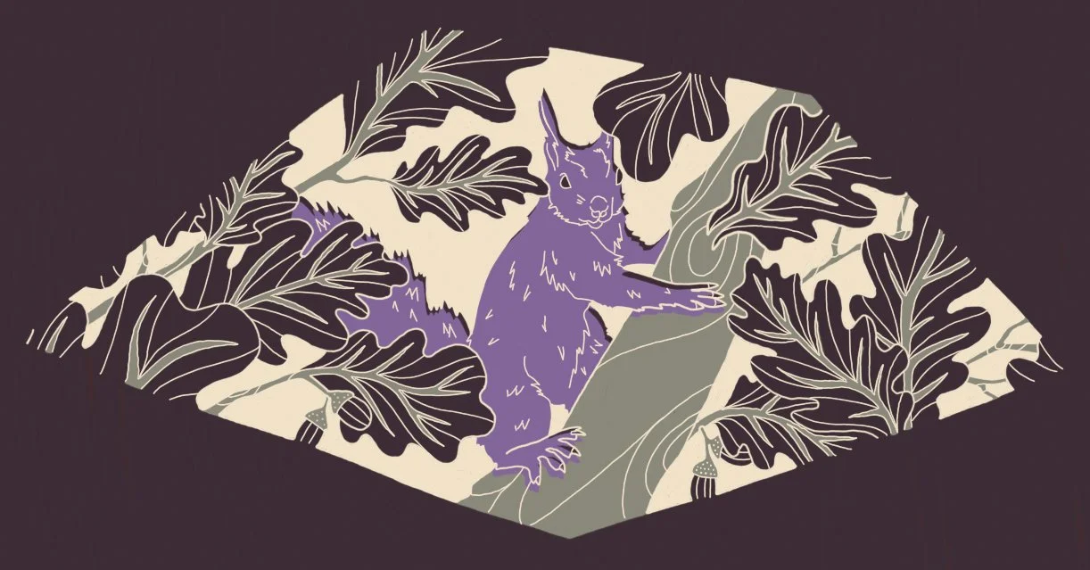 2504_BAU_Ecureuil roux BORNE A POSER.jpg