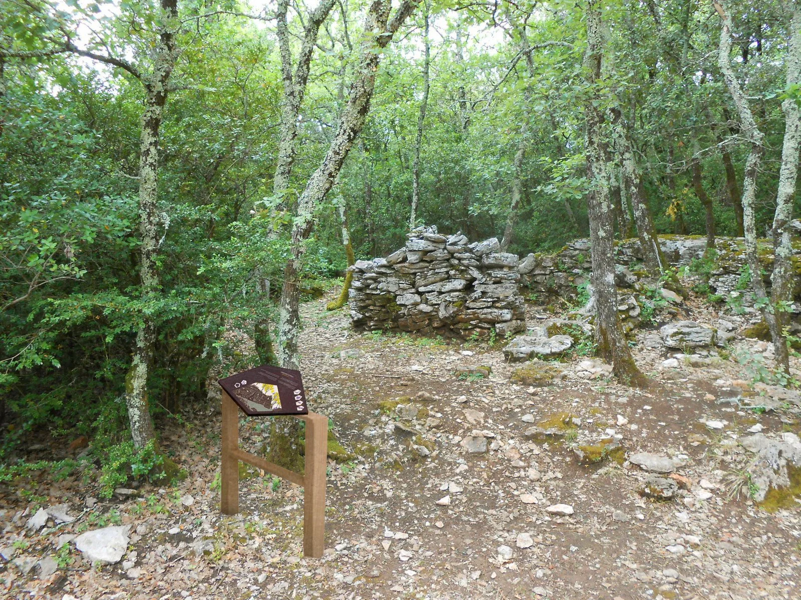 Perspective cabane du charbonnier actuelle.jpg