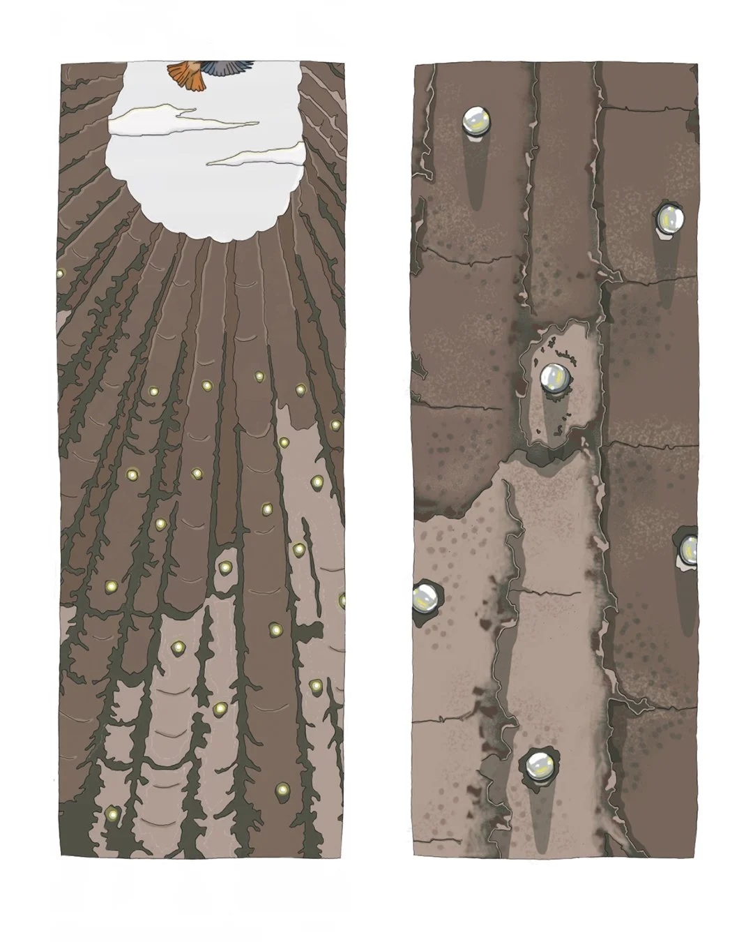 Plan de travail 14.jpg