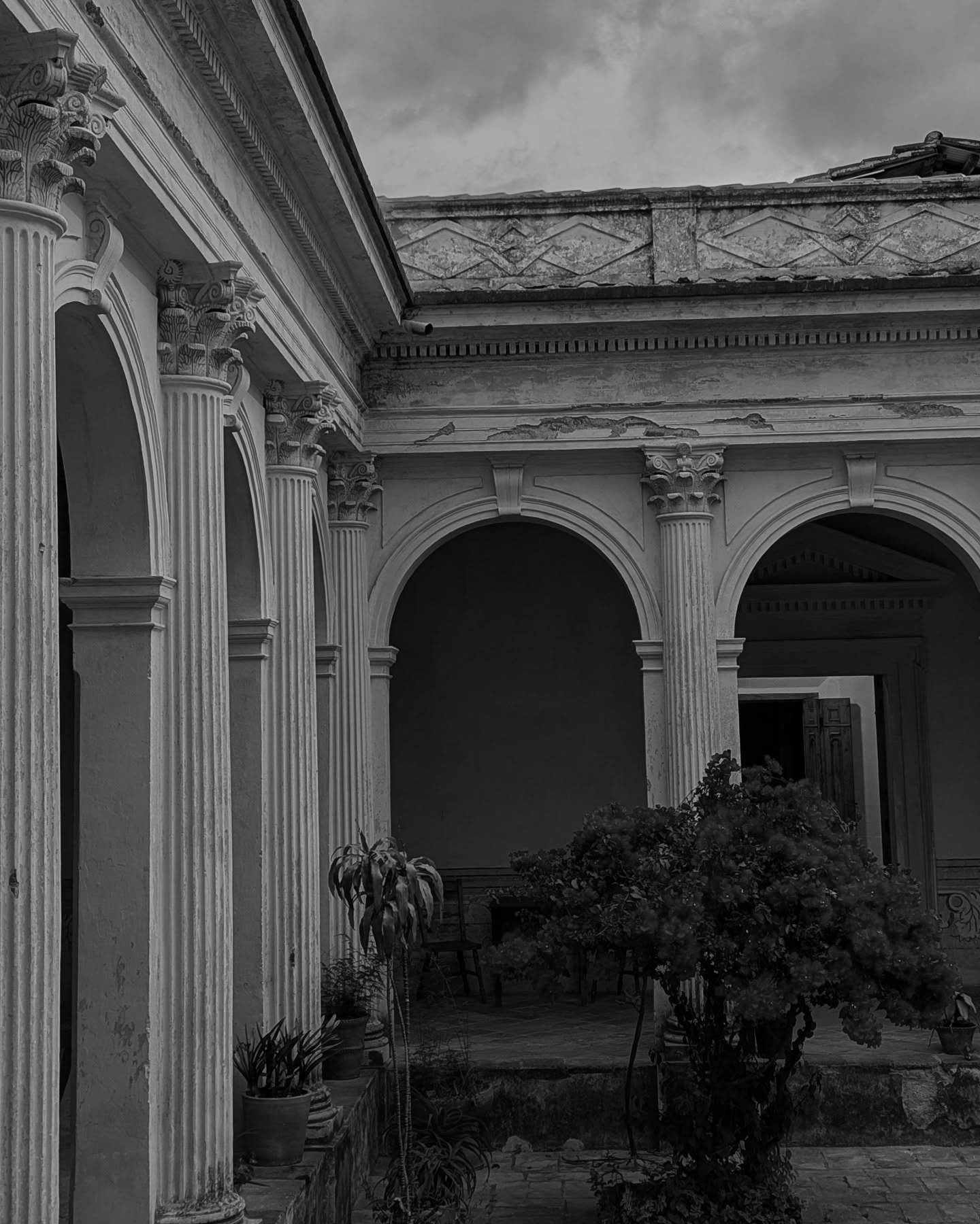 ☄️🕊️💧 Ya casi nos vamos de Sancris.

Con mont&oacute;n de sentimientos encontrados ha llegado el &uacute;ltimo fin de semana de la expo fotogr&aacute;fica &quot;ENCUENTRO ESPERANZA: Nosotros y nuestras plantas&quot; en @laensenanza. &iexcl;Aprovech