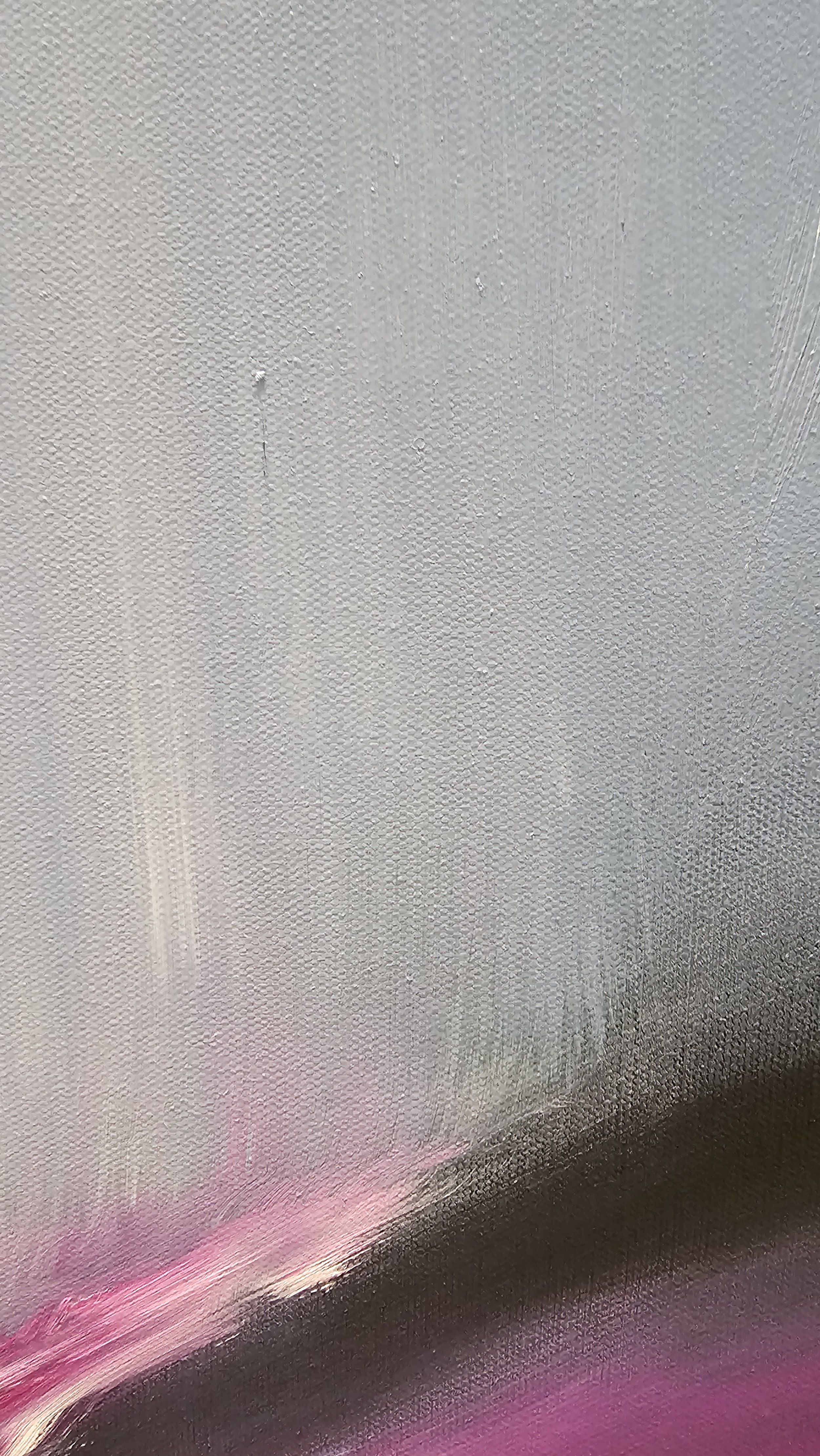20241219_150511.jpg