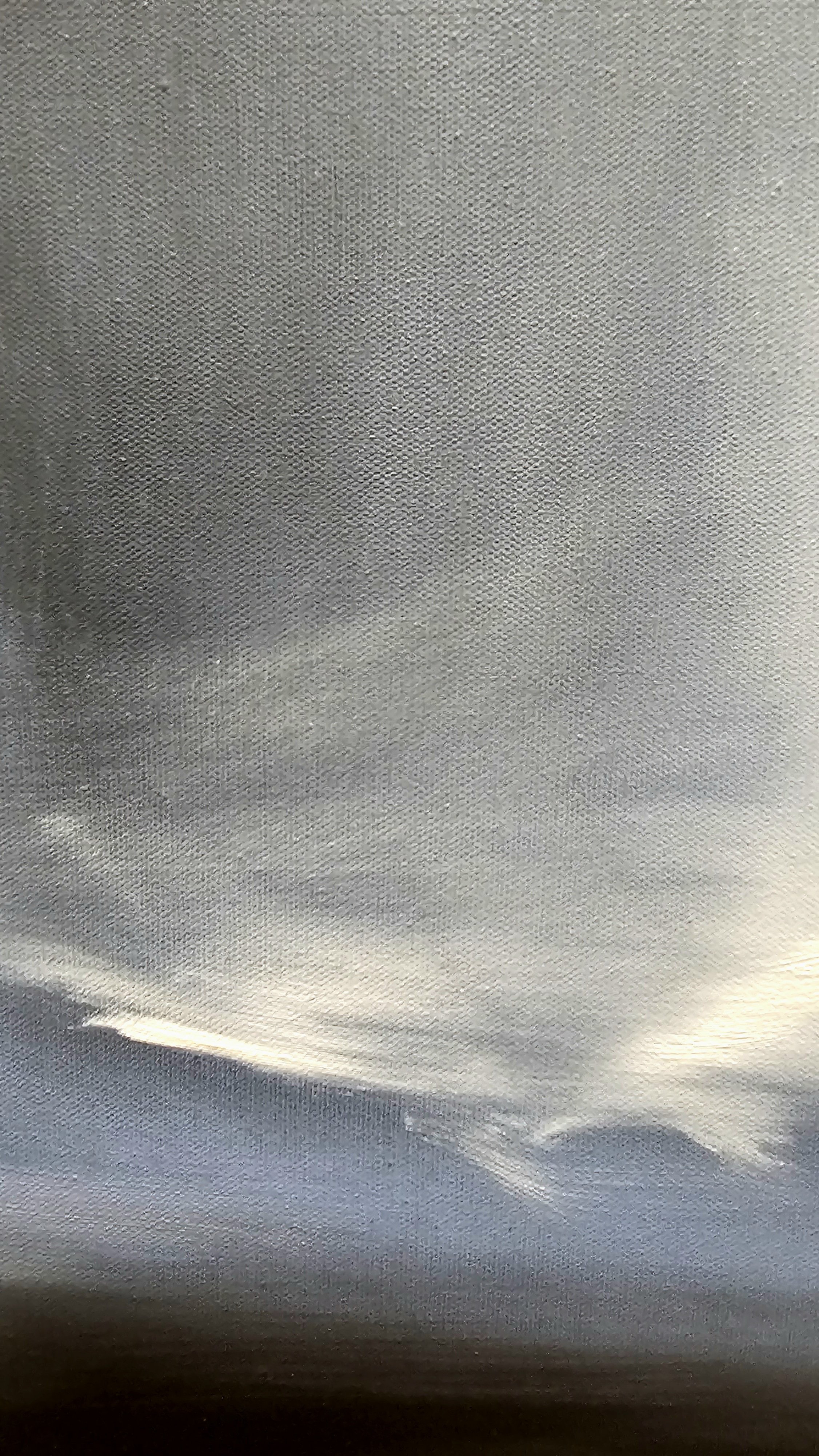 20250119_122527.jpg