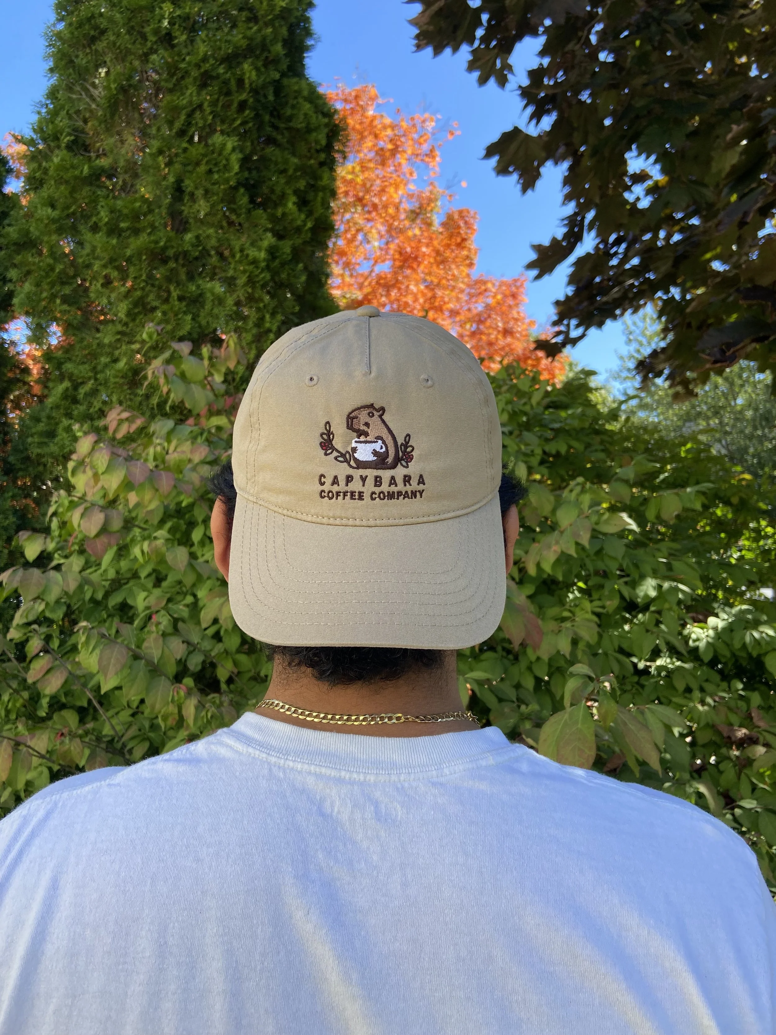 Hat Back.jpg