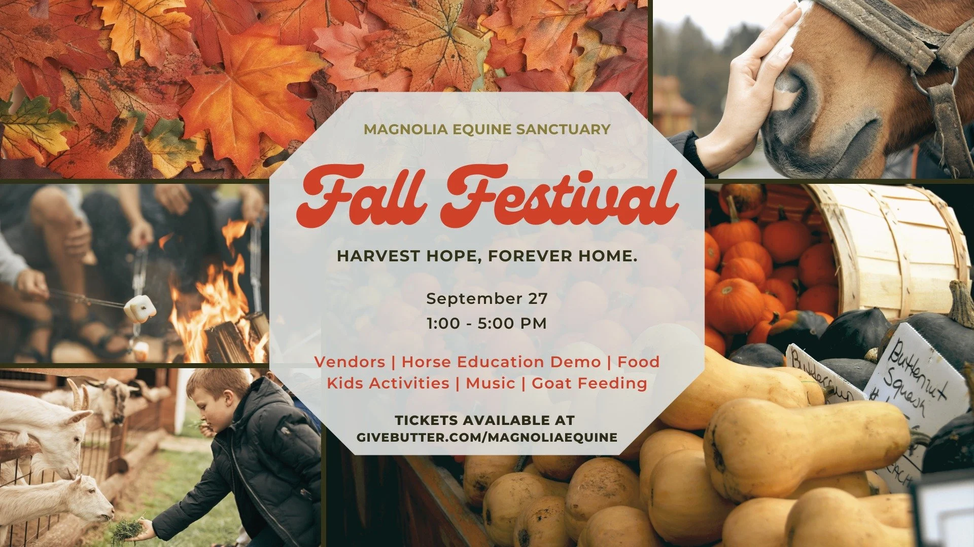 Fall Festival on the Farm