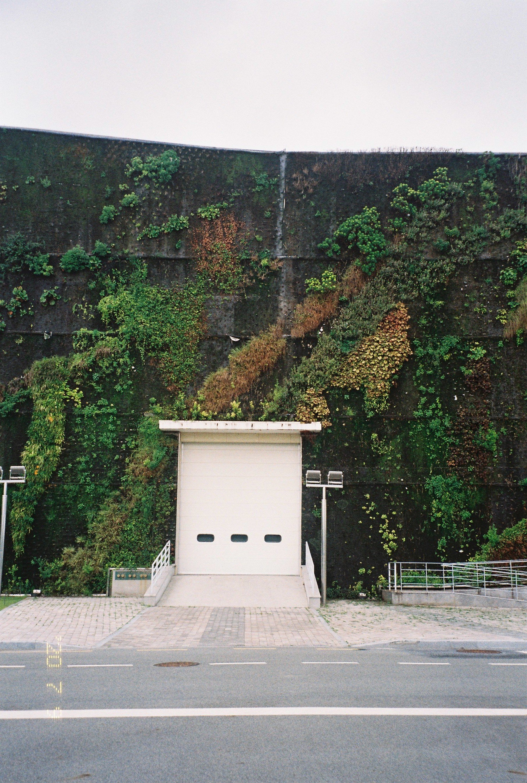 busan biennale 2020/visual diary