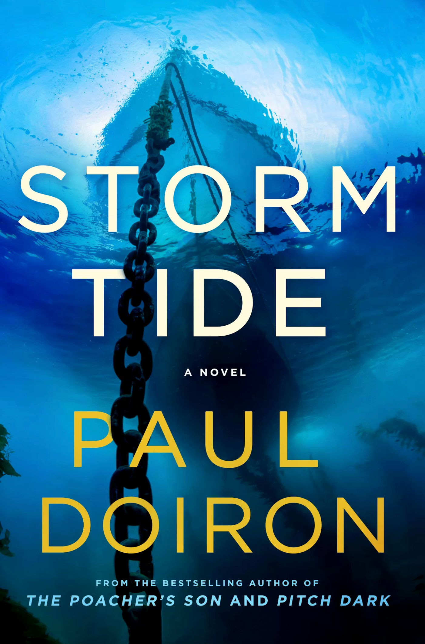 A Game Warden’s job is never done, nor is it a choice in STORM TIDE by Paul Doiron.