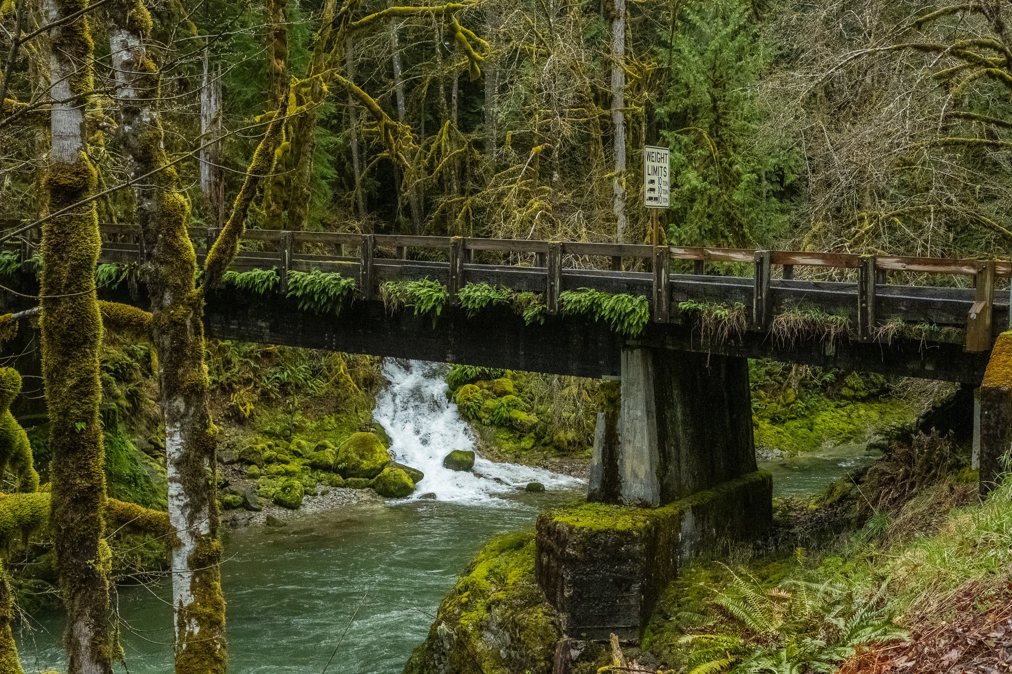 DSCF1289.jpg