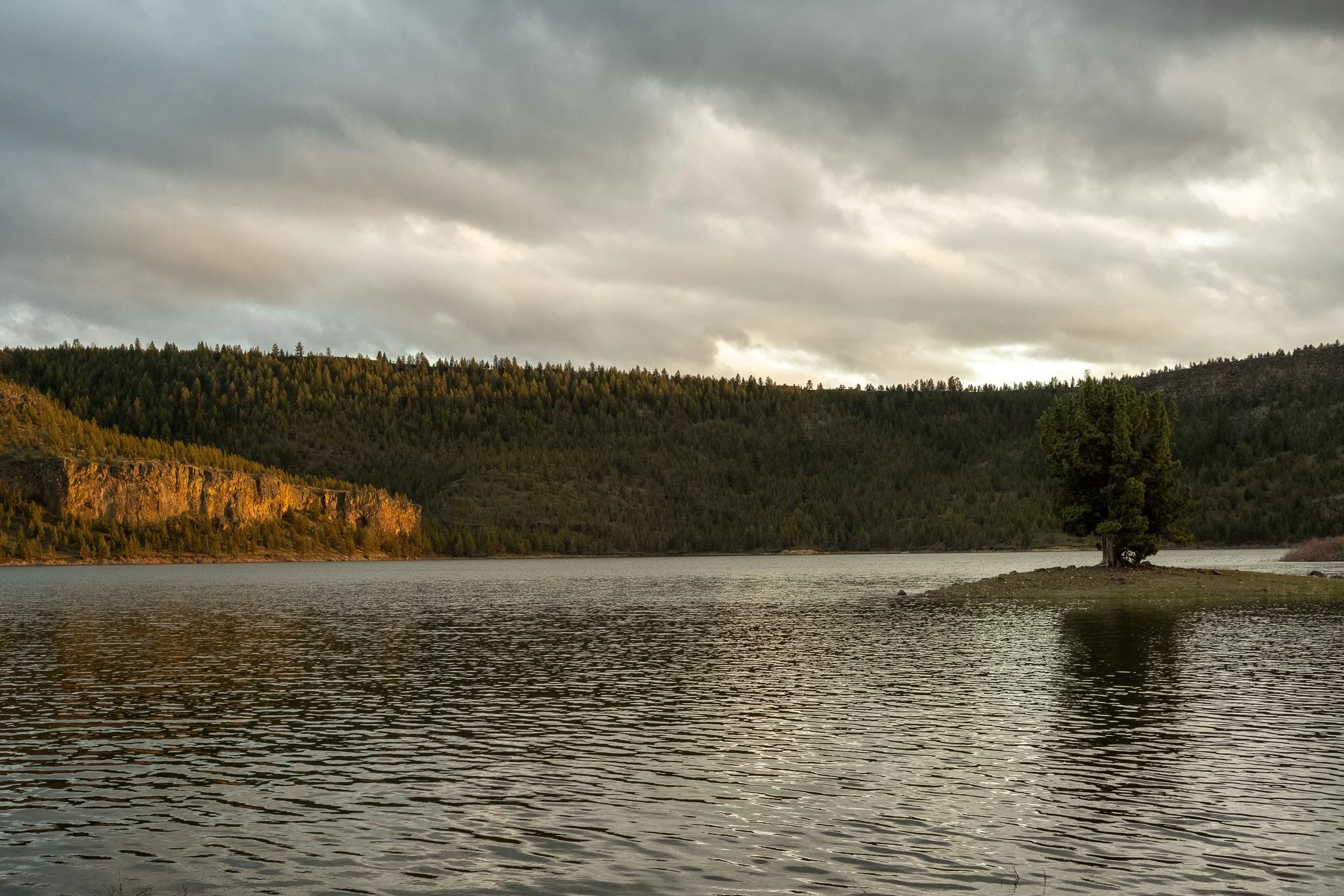 DSCF1478.jpg